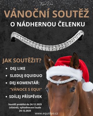 Hola hola Ježíšek EQUIDUO naděluje. 💁